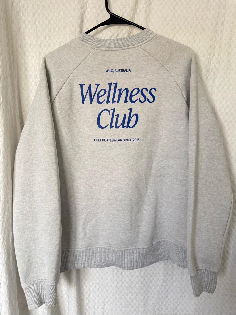 WILO The Label Wellness Club Oversized Sweatshirt Gray Blue Large - Picture 3 of 8